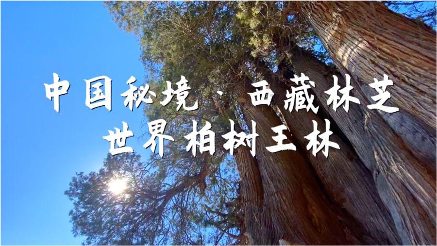 盒马邻里和盒马鲜生有什么区别游戏画面